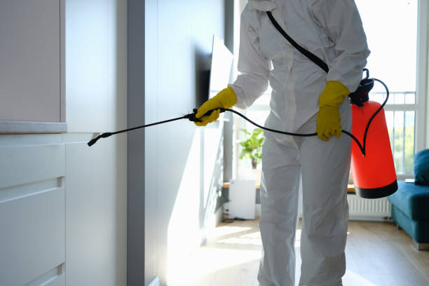 Best Black Mold Removal  in Oakland City, IN